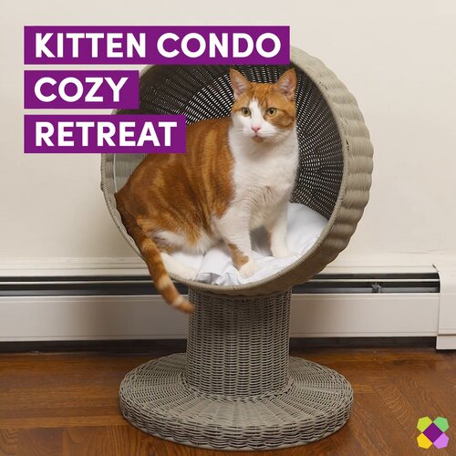 Refined feline deals kitty ball bed